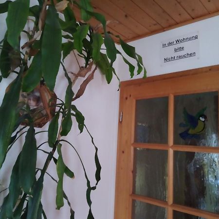 Ferienwohnung Steinbauer Opfenbach 외부 사진
