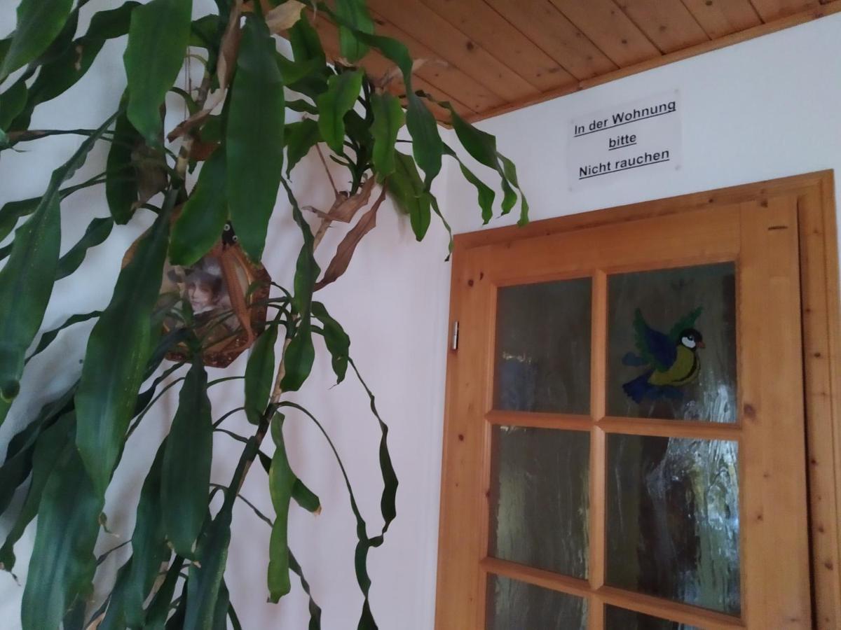 Ferienwohnung Steinbauer Opfenbach 외부 사진